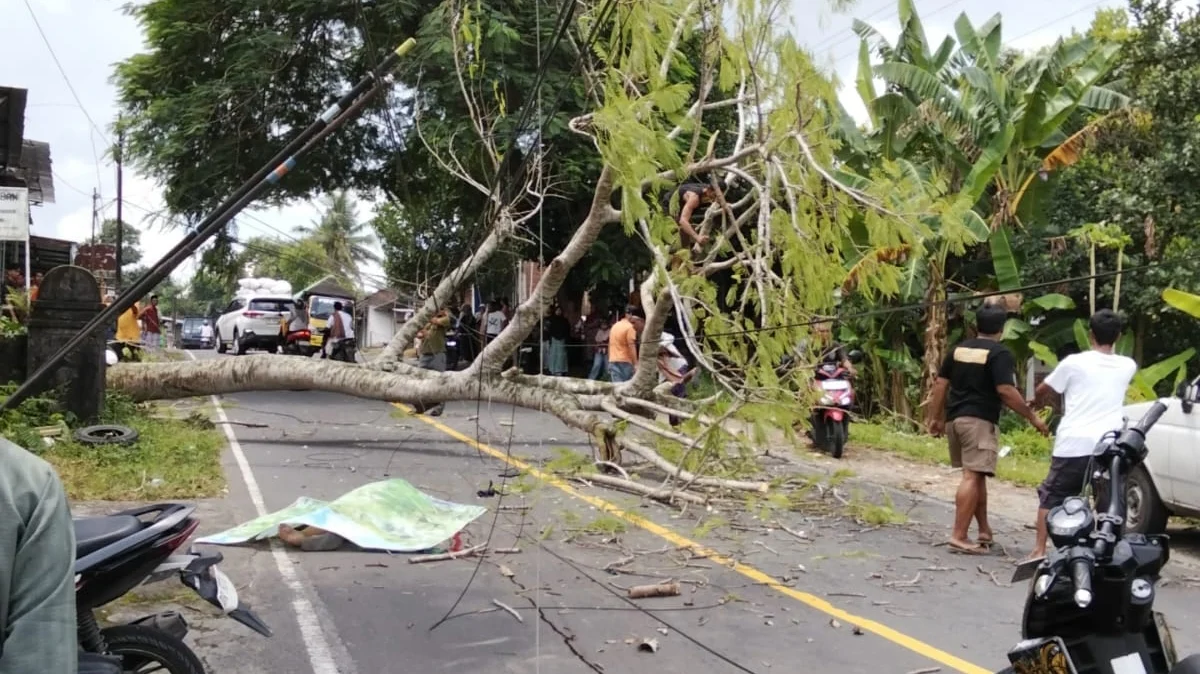 Angin Kencang di Lombok Tengah, Satu Warga Meninggal Dunia