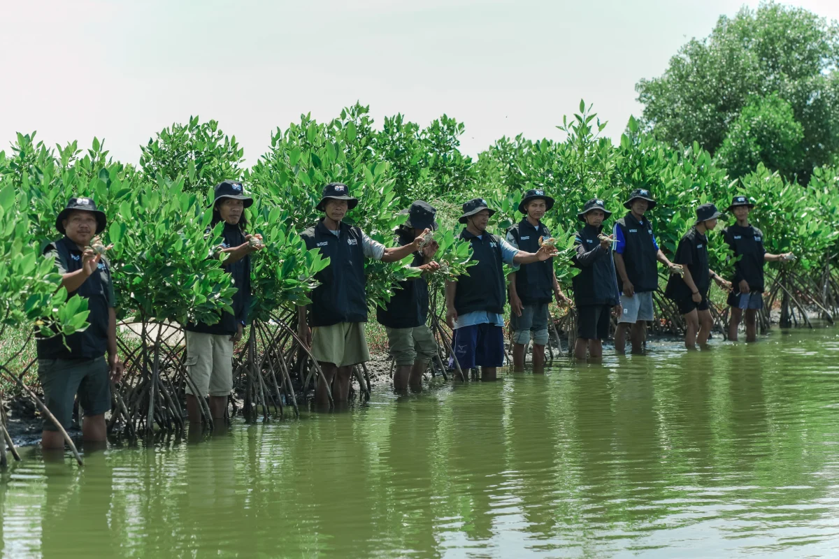 Bank BRI Perkuat Komitmen Lingkungan dengan Penanaman 500 Pohon Mangrove di Bekasi dalam Rangka Hari Bumi