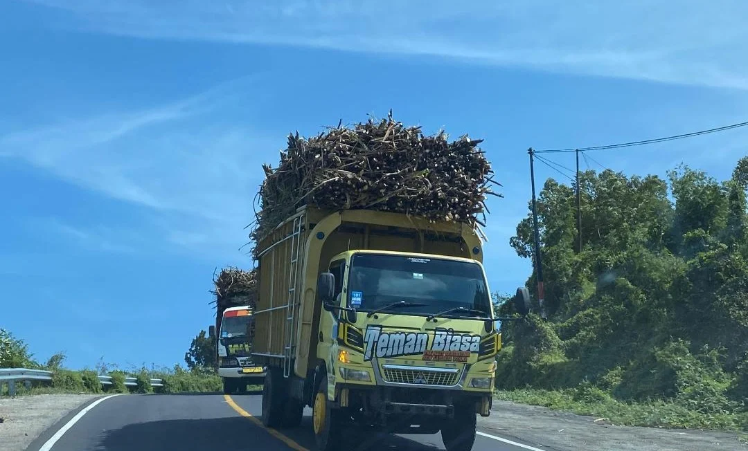 Gelar Kawasan Tebu Nasional Dompu: Antara Janji Swasembada Gula, Potensi Agraris Melimpah, dan Realita Implementasi yang Menghambat