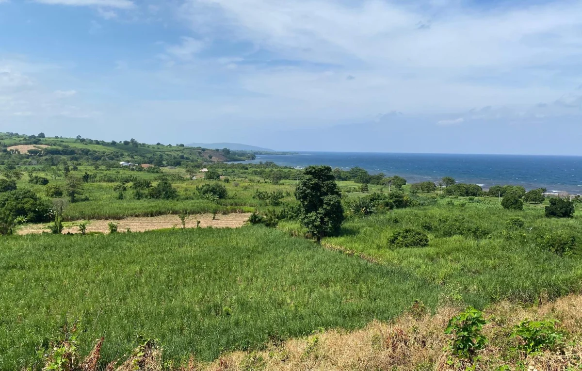 Pulau Sumbawa: Menuju Sentra Gula Nasional dengan Tantangan Keadilan Petani dan Logistik