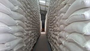 Bulog NTB Kejar Target Serapan Gabah 240 Ribu Ton, Stok Nasional Lampaui 5 Juta Ton