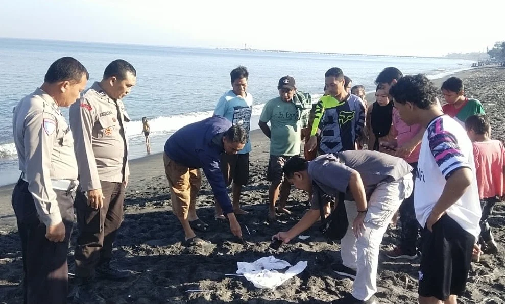 Geger Penemuan Bungkusan Mencurigakan di Pantai Selingkuh Mataram Polsek Ampenan Pastikan Isi Perut Ikan Bukan Orok Bayi