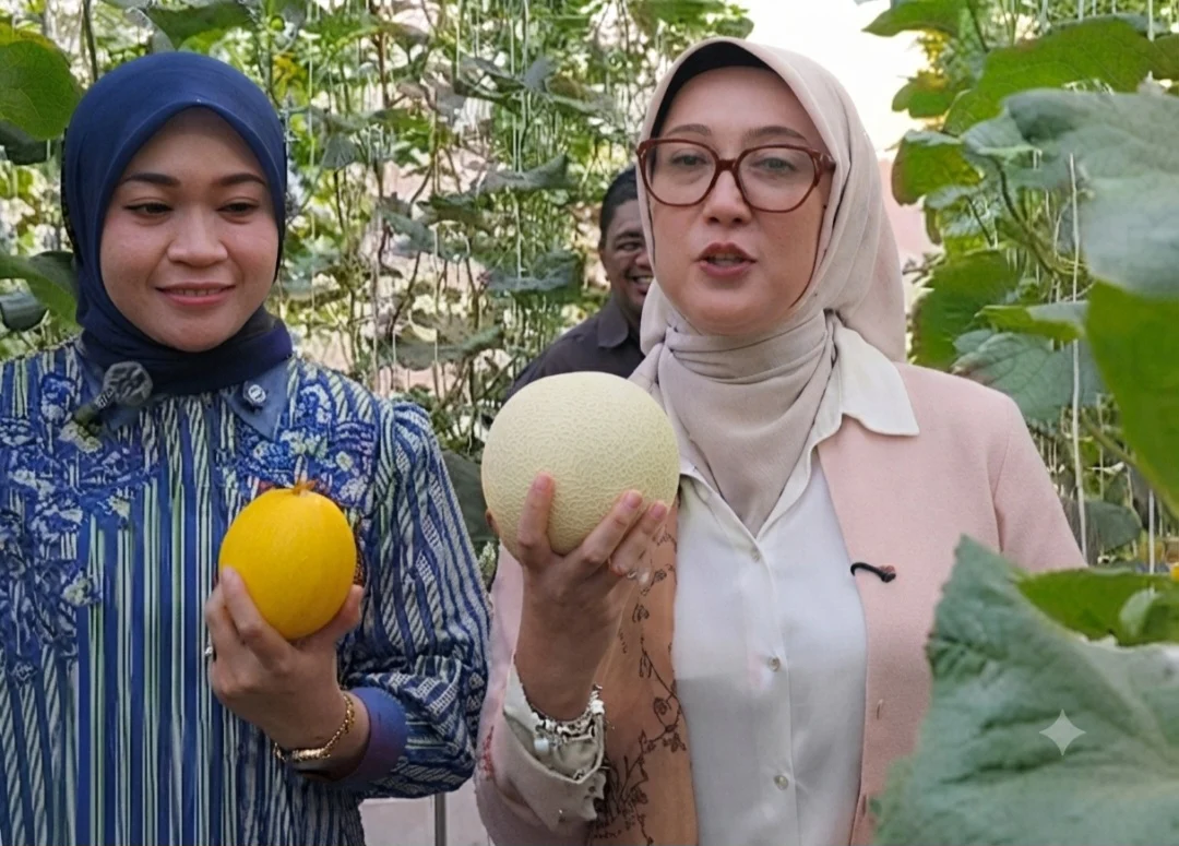 Inovasi Pertanian Modern Bumdes Mambalan Raih Apresiasi Tinggi dari Ketua TP PKK NTB dan Lobar dalam Panen Perdana Melon Hidroponik Premium