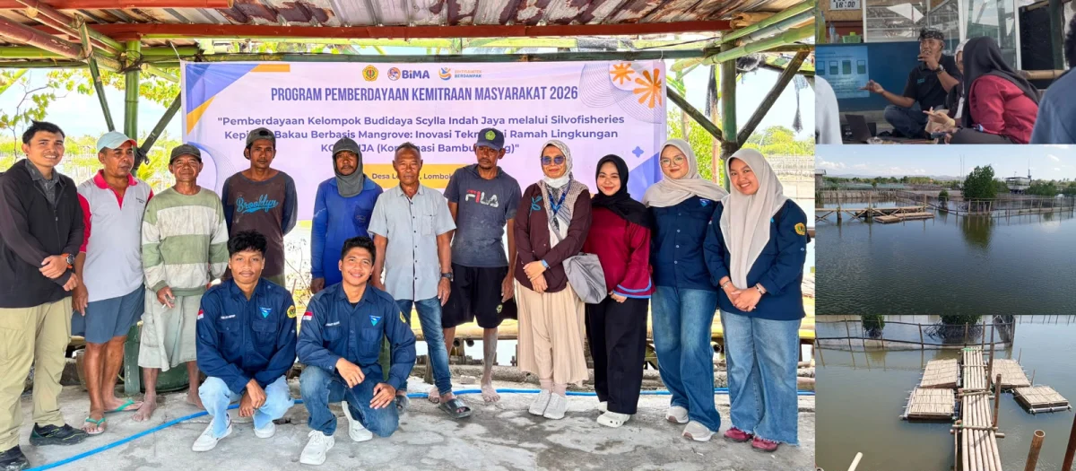 Inovasi KOMBUJA Universitas Mataram Transformasi Budidaya Kepiting Bakau Berbasis Silvofisheries di Lombok Barat