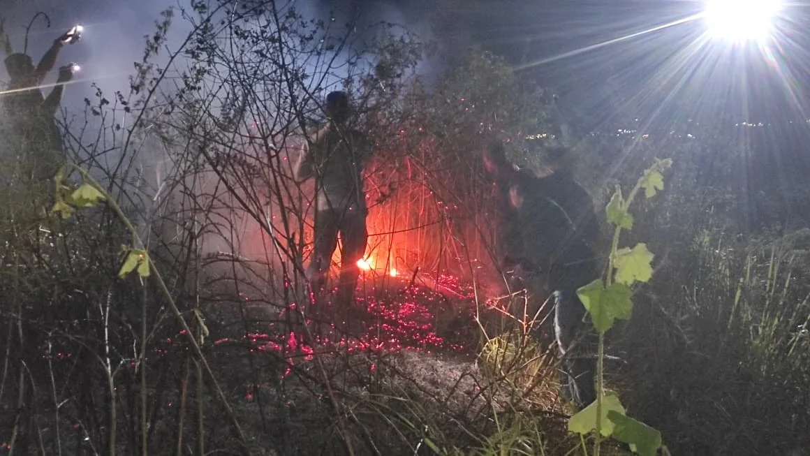 Kebakaran Hutan dan Lahan Melanda Kawasan Taman Nasional Gunung Rinjani di Sembalun, Tim Gabungan Berjibaku Padamkan Api