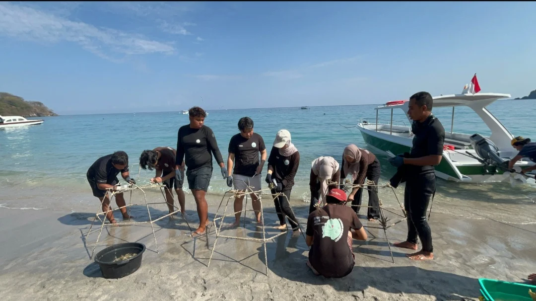 Mahasiswa KKN-PMD Universitas Mataram Lakukan Restorasi Terumbu Karang di Pantai Nipah untuk Perkuat Pilar Ekonomi Biru