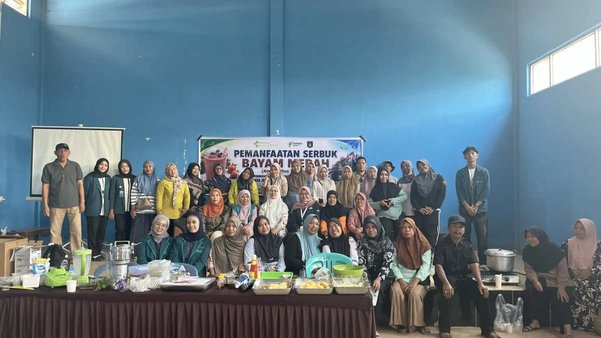 Pemanfaatan Serbuk Bayam Merah dalam Upaya Peningkatan Kesehatan Masyarakat dan Pencegahan Stunting