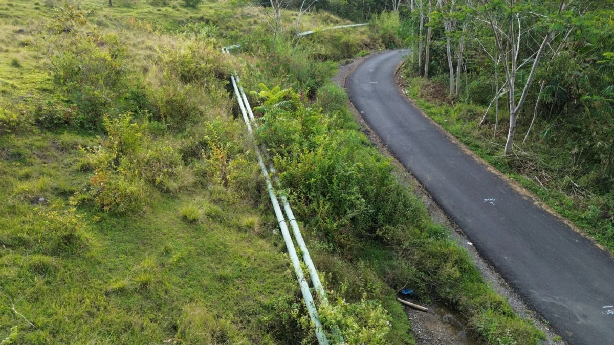 Pembangunan Infrastruktur Jalan Menuju PLTP Mataloko Berdampak Positif pada Aktivitas Pertanian dan Perekonomian Masyarakat