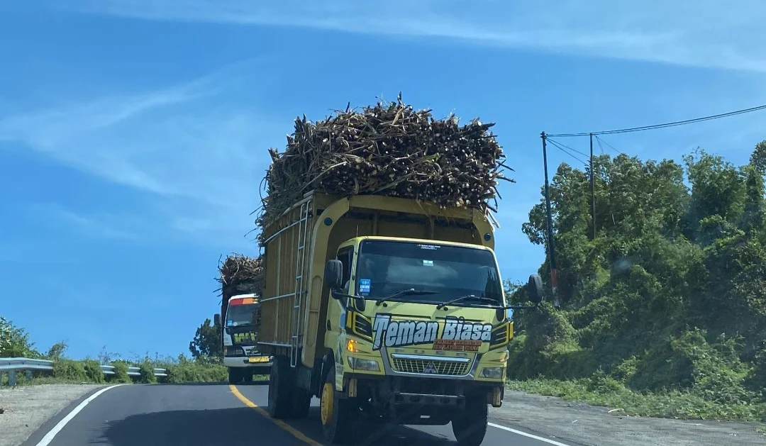 Revolusi Manis di Kaki Tambora: Bagaimana Desa Soritatanga Dompu Beralih dari Jagung ke Tebu, Mengukir Kesejahteraan dan Harapan Baru