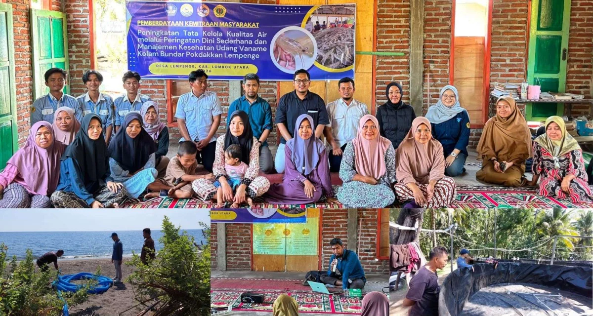 UNRAM Perkuat Kapasitas Kelompok Pembudidaya Ikan dan Wanita Tani Lempenge Melalui Inovasi Tata Kelola Udang Vaname Berkelanjutan di Lombok Utara