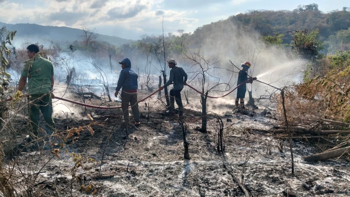 Kebakaran Hutan dan Lahan Landa Lombok Timur, 8 Hektare Lahan Terbakar di Sambelia