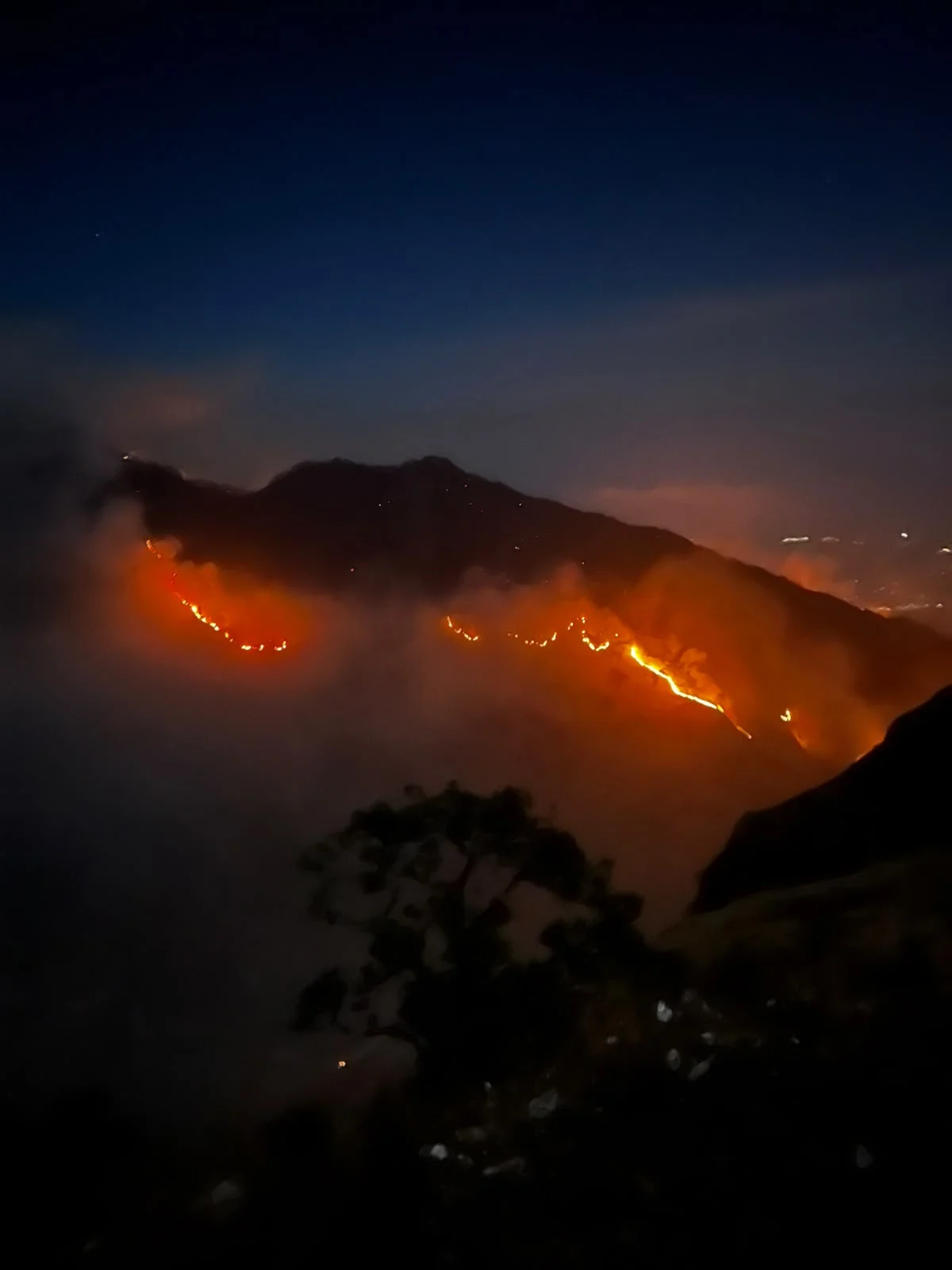Kebakaran Melanda Kawasan Taman Nasional Gunung Rinjani, Jalur Pendakian Torean Ditutup Sementara