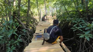 Pembangunan Ekowisata Mangrove Padak Guar Lombok Timur Diperkaya Melalui Program TJSL PLN
