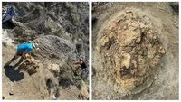 Penemuan Jejak Kaki Tyrannosaurus Rex Dewasa Pertama di North Dakota Mengungkap Tabir Perilaku dan Kecepatan Predator Purba Paling Ikonik di Dunia