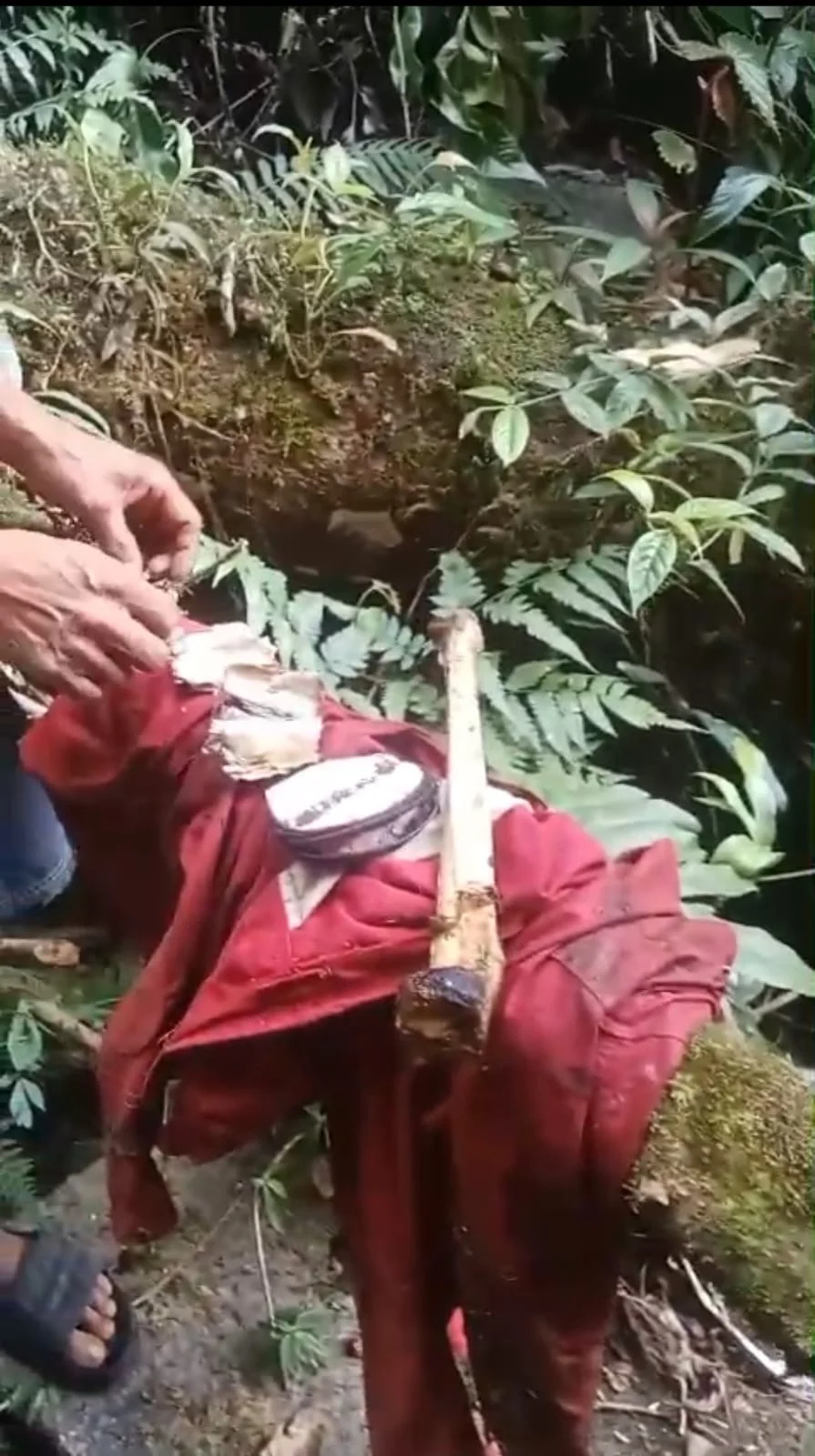 Penemuan Tulang Diduga Kerangka Manusia di Kawasan Argapura Lingsar Menggegerkan Warga dan Memicu Koordinasi Lintas Wilayah Hukum Kepolisian