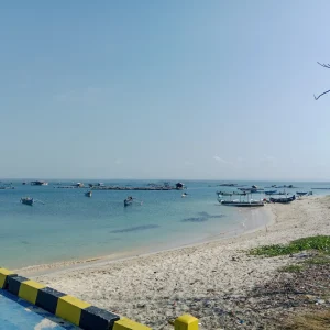 Tantangan Budidaya Lobster di Lombok Timur: Keterbatasan Pakan dan Strategi Solusi Inovatif
