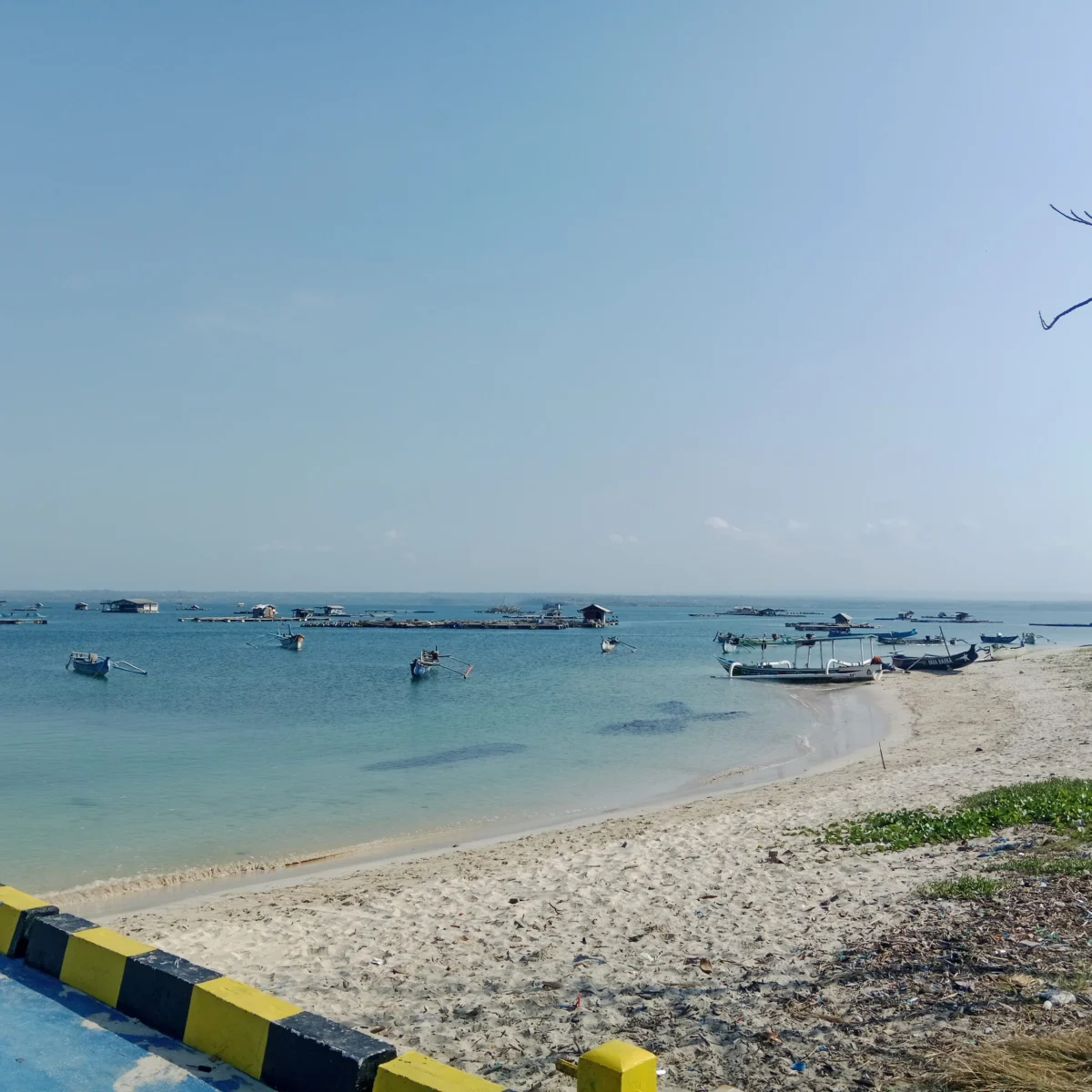 Tantangan Budidaya Lobster di Lombok Timur: Keterbatasan Pakan dan Strategi Solusi Inovatif