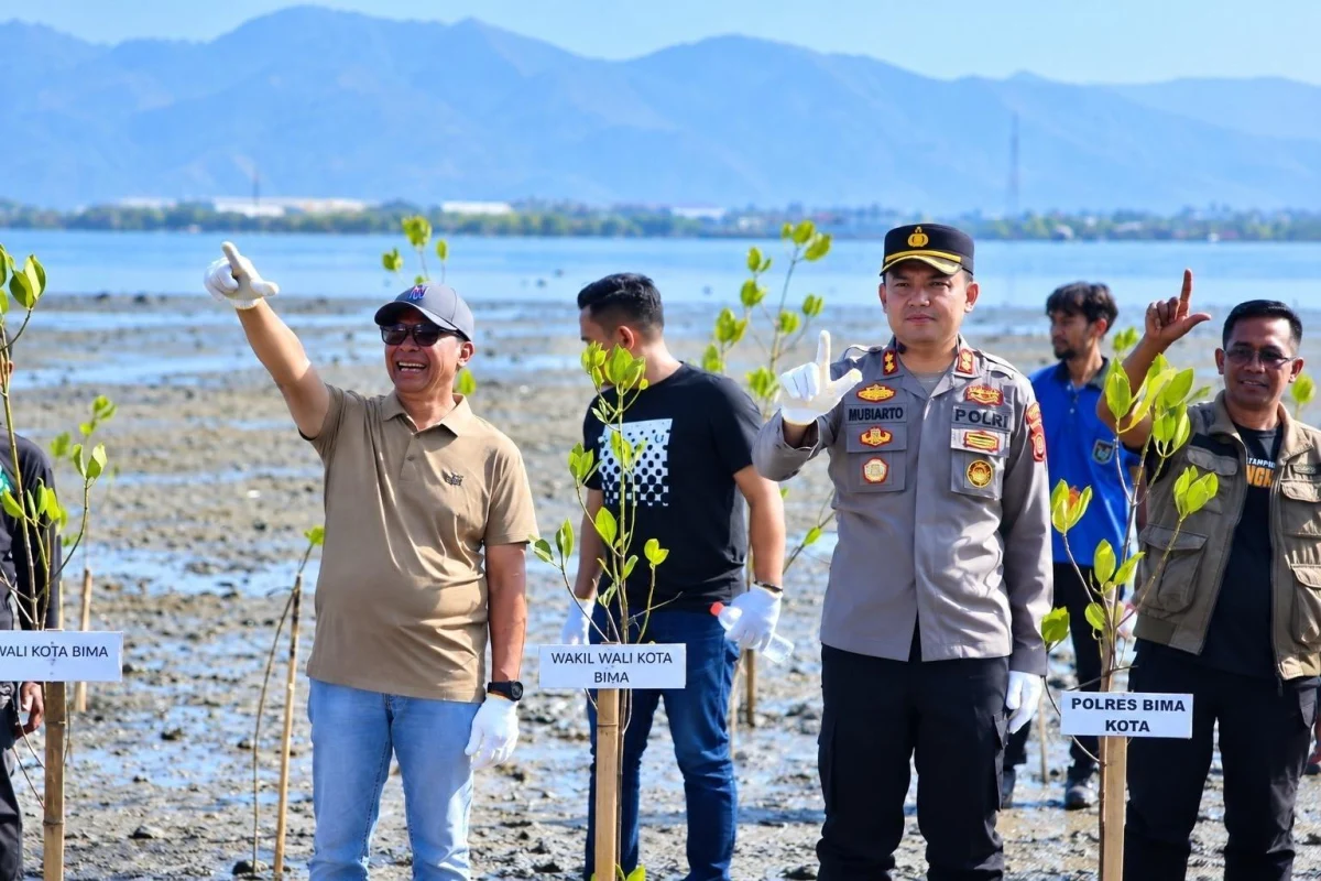 PLN UIW NTB Bersinergi dengan Pemerintah Kota Bima Tanam 600 Bibit Mangrove, Perkuat Gerakan Lingkungan Pesisir ASRI dan BISA