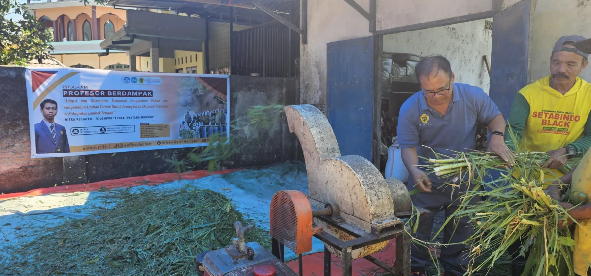 Teknologi UNRAM Sentuh Peternakan Desa Nyerot:  Kandang Sehat, Limbah Bernilai Ekonomi, Hingga Pakan Berkelanjutan